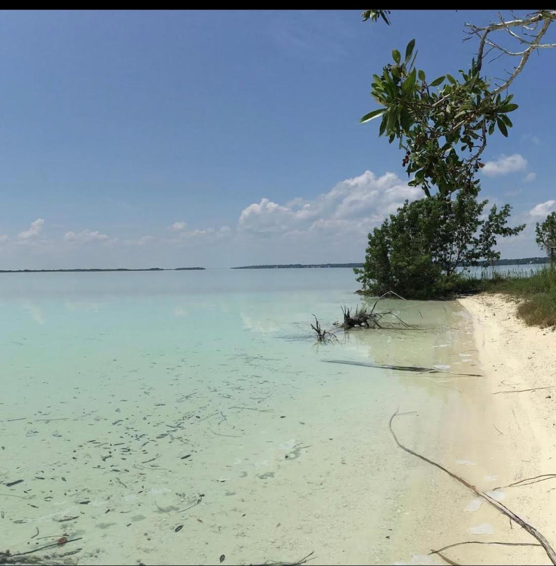 Casa Vive Bacalar Bed & Breakfast Dış mekan fotoğraf